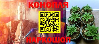 герыч Можга