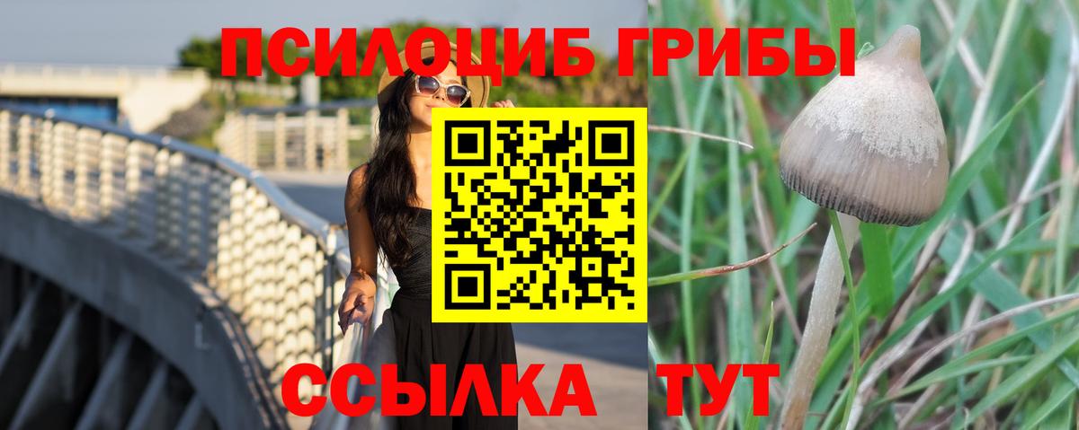 Псилоцибиновые грибы Cubensis  Вход с VPN  Галлюциногенные грибы Psilocybe  продажа наркотиков  Амурск 